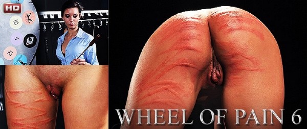 Wheel of Pain 6