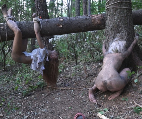 Amateurs – The dark side of the woods